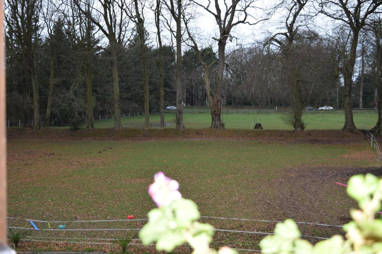 לינה וארוחת בוקר Senneville-sur-Fécamp Chez Kate Et Lolo מראה חיצוני תמונה